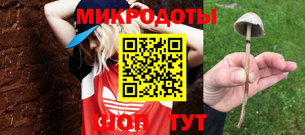 Галлюциногенные грибы Magic Shrooms Советская Гавань