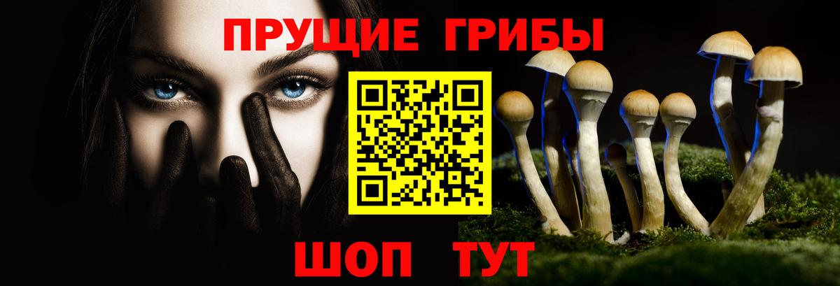 Псилоцибиновые грибы Psilocybine cubensis  Вход с VPN  Советская Гавань 